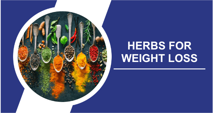 Best herbs for weight loss image