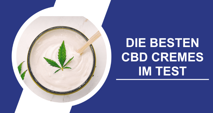 CBD Creme Test Erfahrungen Bewertung