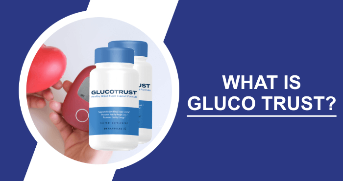 What is GlucoTrust