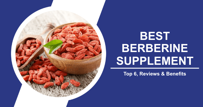 Best Berberine Supplement Image Cover