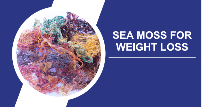 Sea moss for weight loss title image