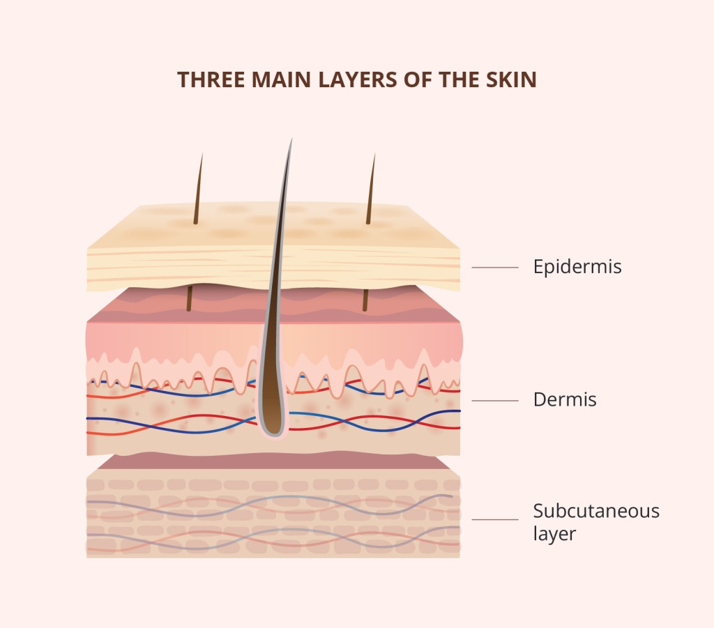 SKIN LAYERS 1024x901