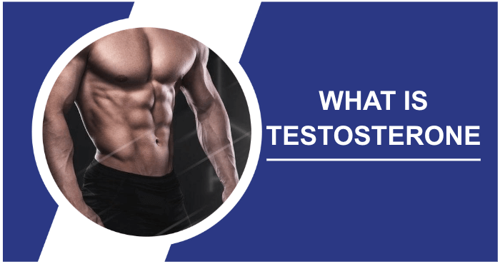 What is testosterone